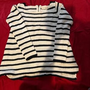 Zara Knit sweater